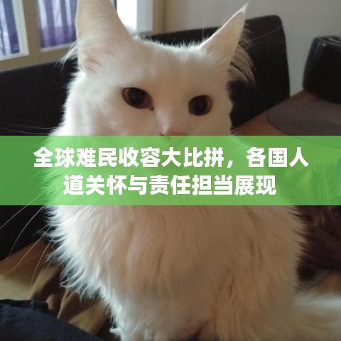 后会无期 第2页