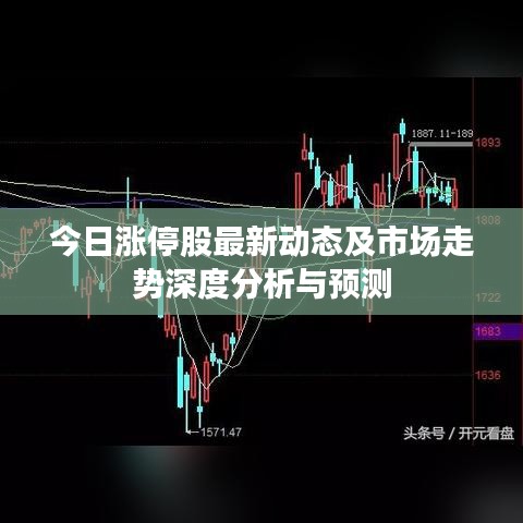 今日涨停股最新动态及市场走势深度分析与预测