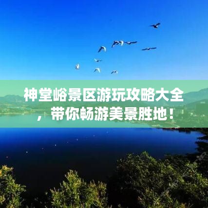 神堂峪景区游玩攻略大全，带你畅游美景胜地！