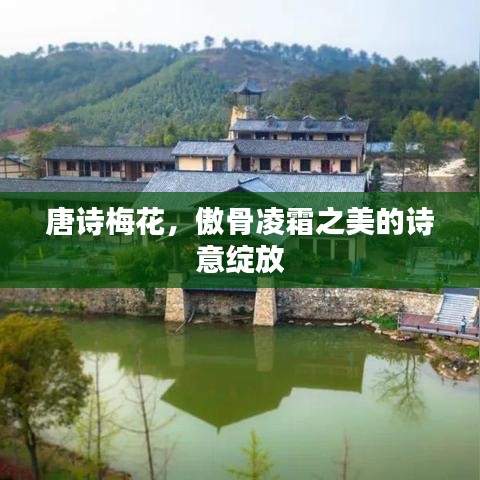 唐诗梅花，傲骨凌霜之美的诗意绽放