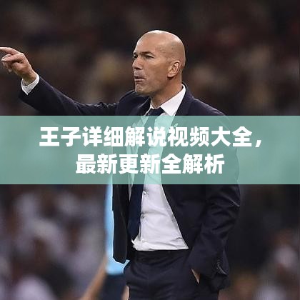 王子详细解说视频大全，最新更新全解析