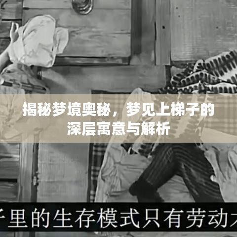 揭秘梦境奥秘，梦见上梯子的深层寓意与解析