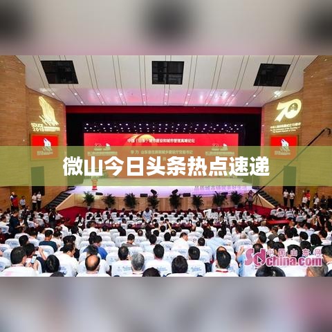 微山今日头条热点速递
