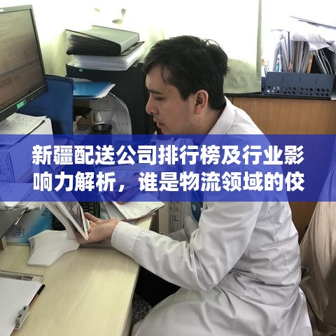 新疆配送公司排行榜及行业影响力解析，谁是物流领域的佼佼者？