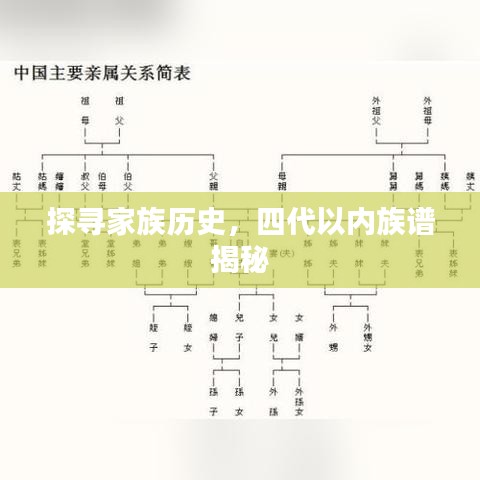 探寻家族历史，四代以内族谱揭秘