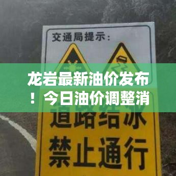 龙岩最新油价发布！今日油价调整消息出炉