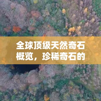 全球顶级天然奇石概览，珍稀奇石的奥秘与魅力