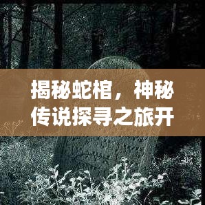 揭秘蛇棺，神秘传说探寻之旅开启！