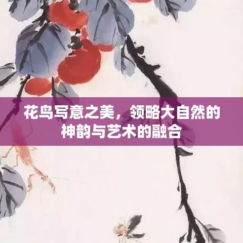 花鸟写意之美，领略大自然的神韵与艺术的融合