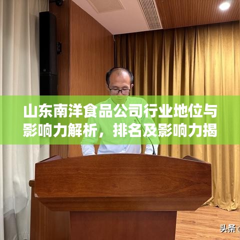 山东南洋食品公司行业地位与影响力解析，排名及影响力揭秘
