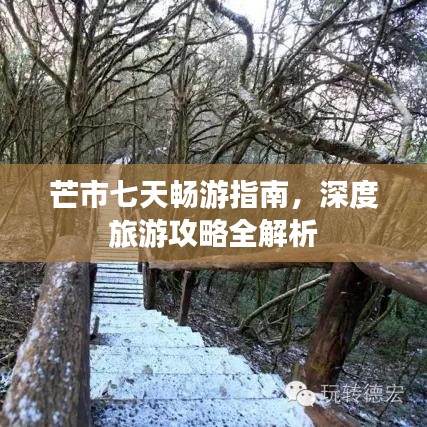芒市七天畅游指南，深度旅游攻略全解析