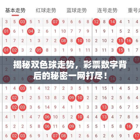 揭秘双色球走势，彩票数字背后的秘密一网打尽！