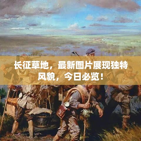 长征草地，最新图片展现独特风貌，今日必览！