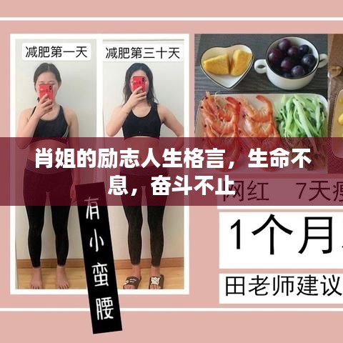肖姐的励志人生格言，生命不息，奋斗不止