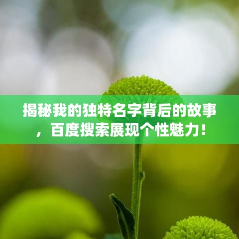草率收兵
