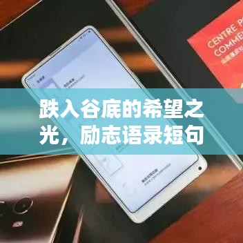 草间求活