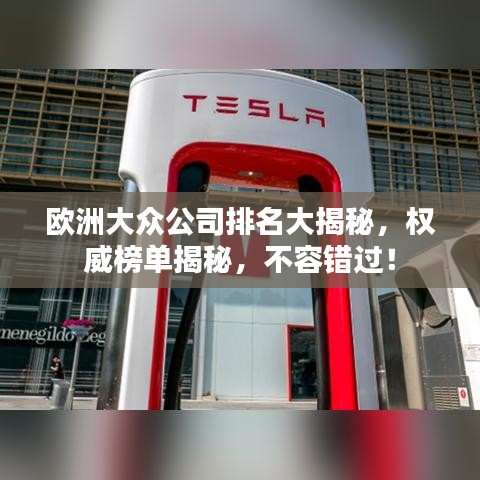 欧洲大众公司排名大揭秘，权威榜单揭秘，不容错过！