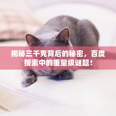 风度翩翩