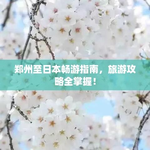 2025年4月