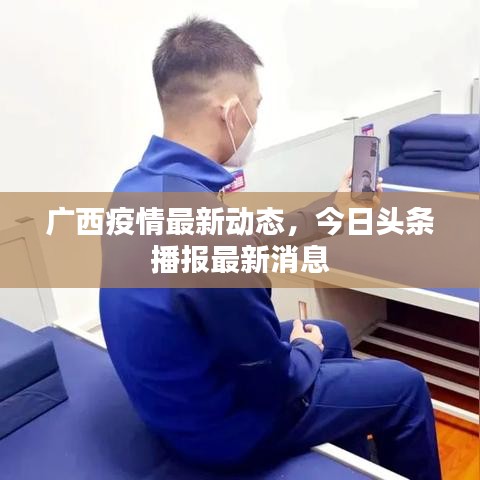 乌鸟之情