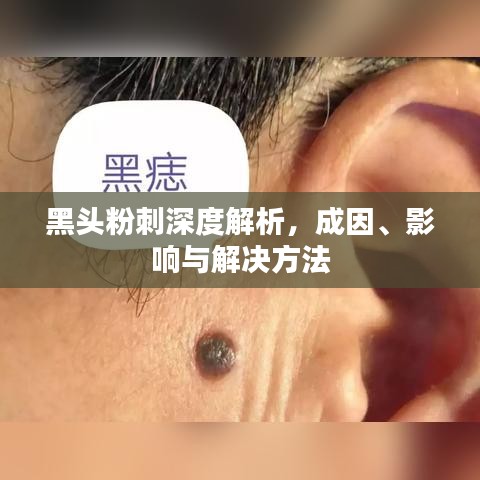 课程中心 第12页