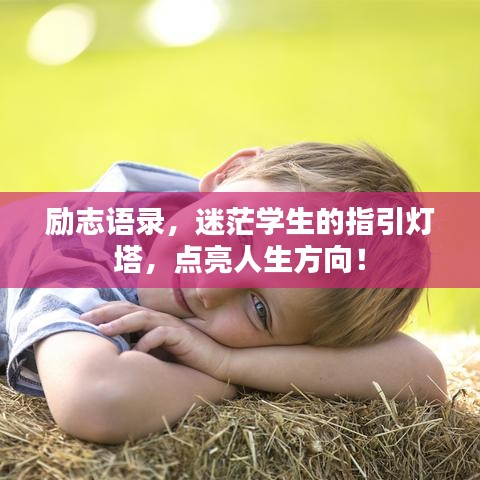 鸟惊鱼骇