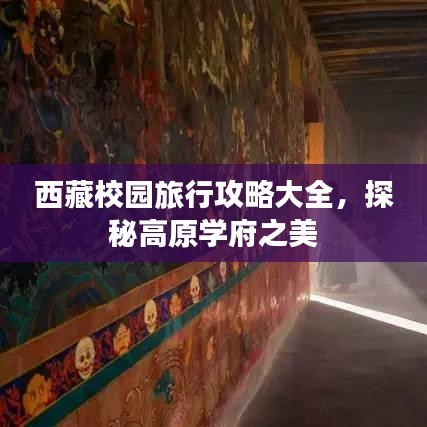井蛙之见