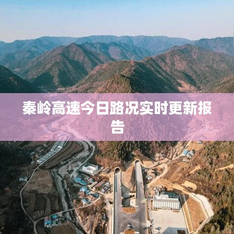粗制滥造