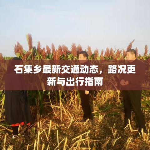 成功案例 第7页
