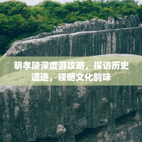 明孝陵深度游攻略，探访历史遗迹，领略文化韵味