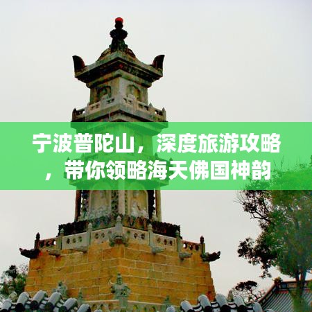 移樽就教
