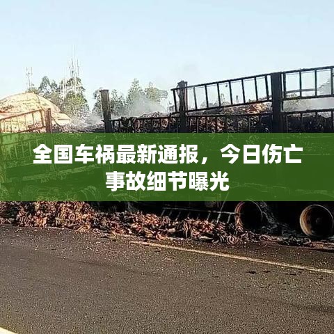 全国车祸最新通报，今日伤亡事故细节曝光