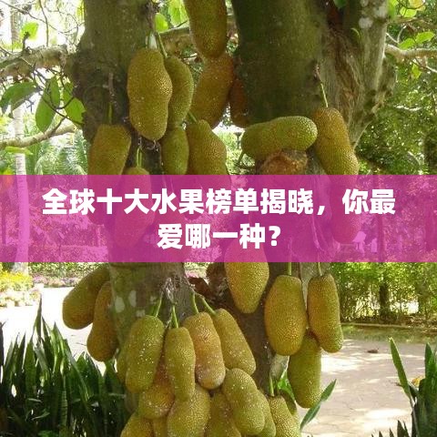 全球十大水果榜单揭晓，你最爱哪一种？
