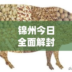 锦州今日全面解封，城市生活秩序逐步恢复