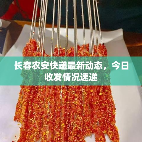 全神贯注