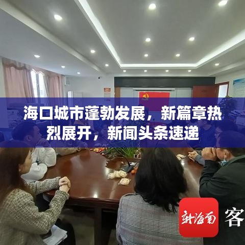海口城市蓬勃发展，新篇章热烈展开，新闻头条速递