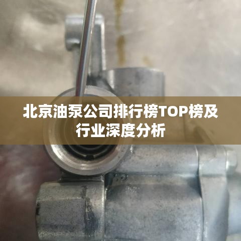 北京油泵公司排行榜TOP榜及行业深度分析