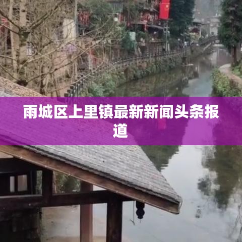 雨城区上里镇最新新闻头条报道