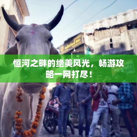 恒河之畔的绝美风光，畅游攻略一网打尽！