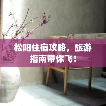 松阳住宿攻略，旅游指南带你飞！