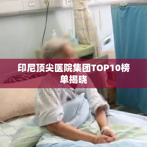 2025年5月29日 第2页