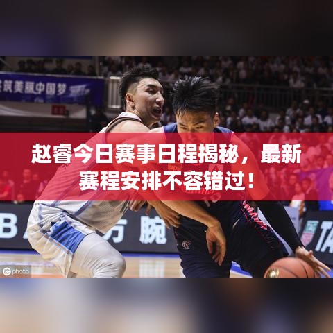 赵睿今日赛事日程揭秘，最新赛程安排不容错过！