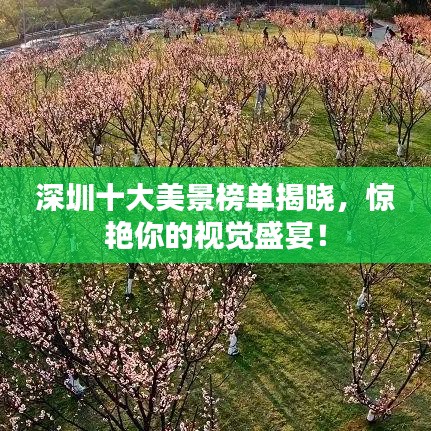 深圳十大美景榜单揭晓，惊艳你的视觉盛宴！