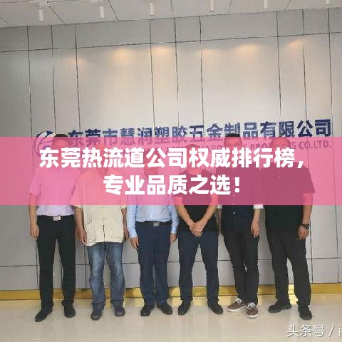 东莞热流道公司权威排行榜，专业品质之选！