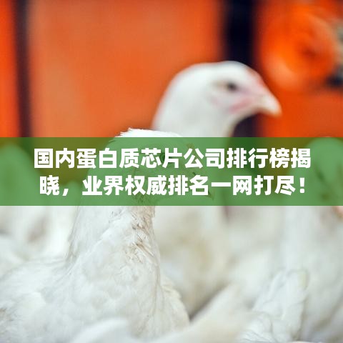 国内蛋白质芯片公司排行榜揭晓，业界权威排名一网打尽！