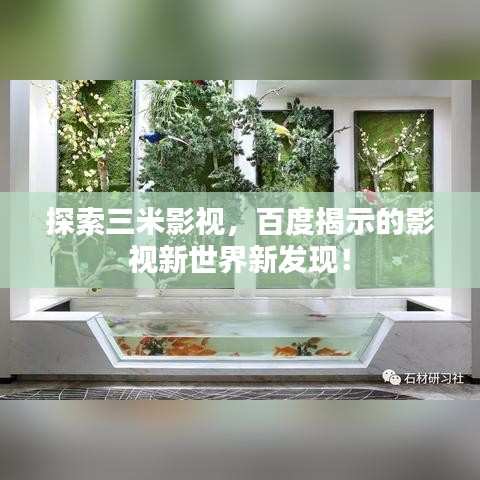 探索三米影视，百度揭示的影视新世界新发现！