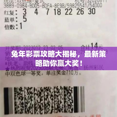 兔年彩票攻略大揭秘，最新策略助你赢大奖！