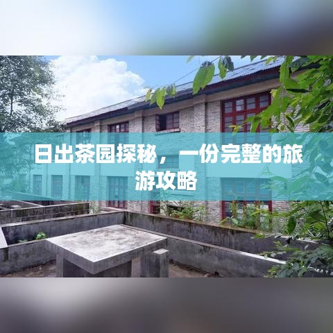 日出茶园探秘，一份完整的旅游攻略
