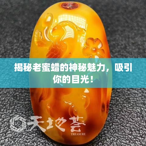 揭秘老蜜蜡的神秘魅力，吸引你的目光！