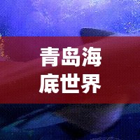 青岛海底世界医院排名及水族医疗领域影响力揭秘